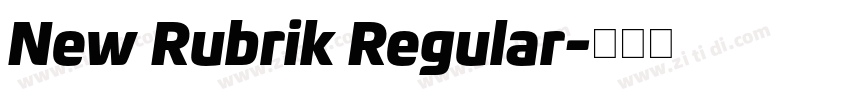 New Rubrik Regular字体转换